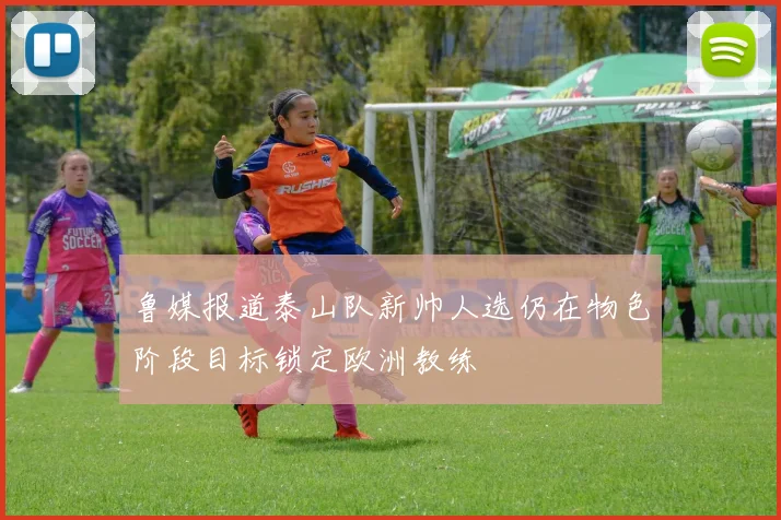 鲁媒报道泰山队新帅人选仍在物色阶段目标锁定欧洲教练