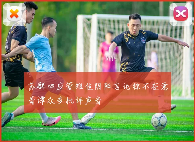 苏群回应管维佳阴阳言论称不在意哥谭众多批评声音