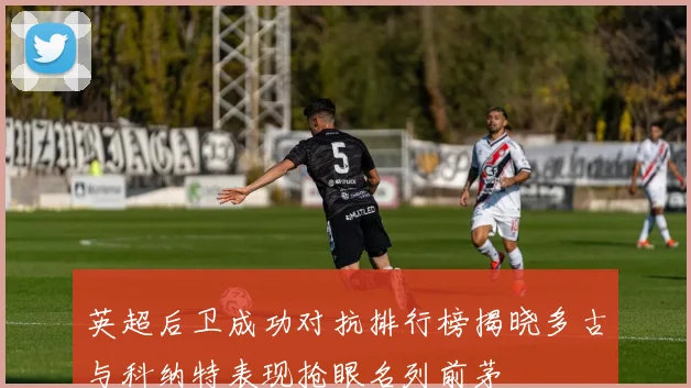 英超后卫成功对抗排行榜揭晓多古与科纳特表现抢眼名列前茅