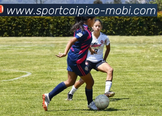 大发彩票APP 封面图